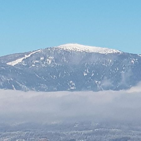 Alpe-Adria Apartments Chanel Top12 Oberaichwald  ภายนอก รูปภาพ