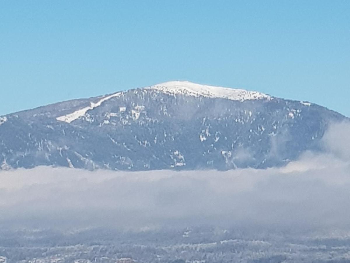 Alpe-Adria Apartments Chanel Top12 Oberaichwald  ภายนอก รูปภาพ